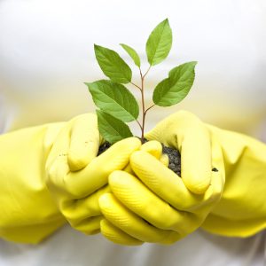 Plant a Plant Challenge