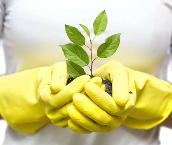 Plant a Plant Challenge