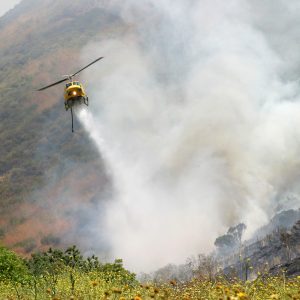 Air Pollution