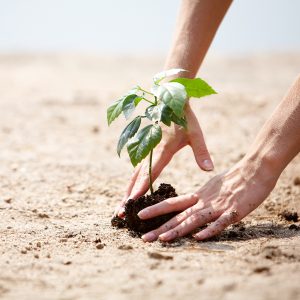 Protecting Nature
