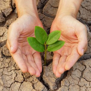Protect the Environment