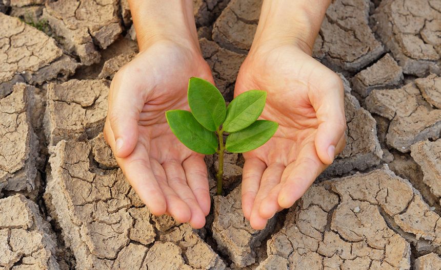 Protect the Environment