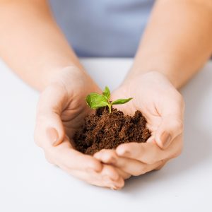 Plant Challenge