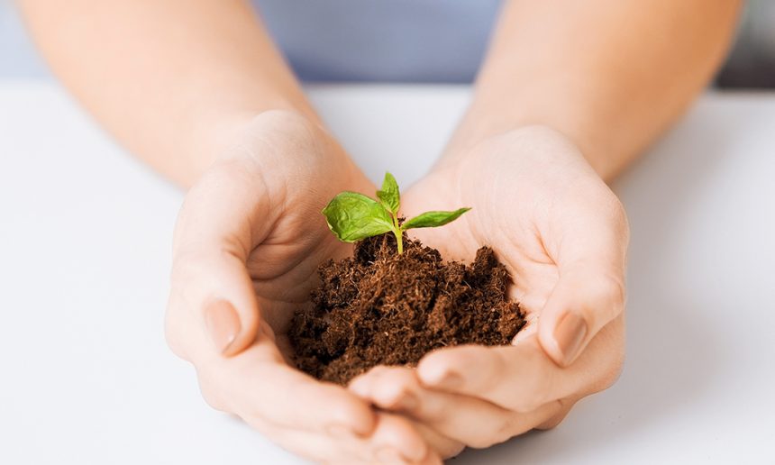 Plant Challenge